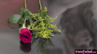 Horny shemale Aiden Ashley banged Aiden Ashley tight flower after tranny enjoyed blowjob